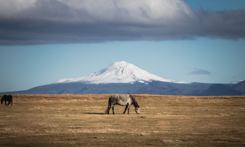Hekla_Vulkan_slider_1736765700.jpg