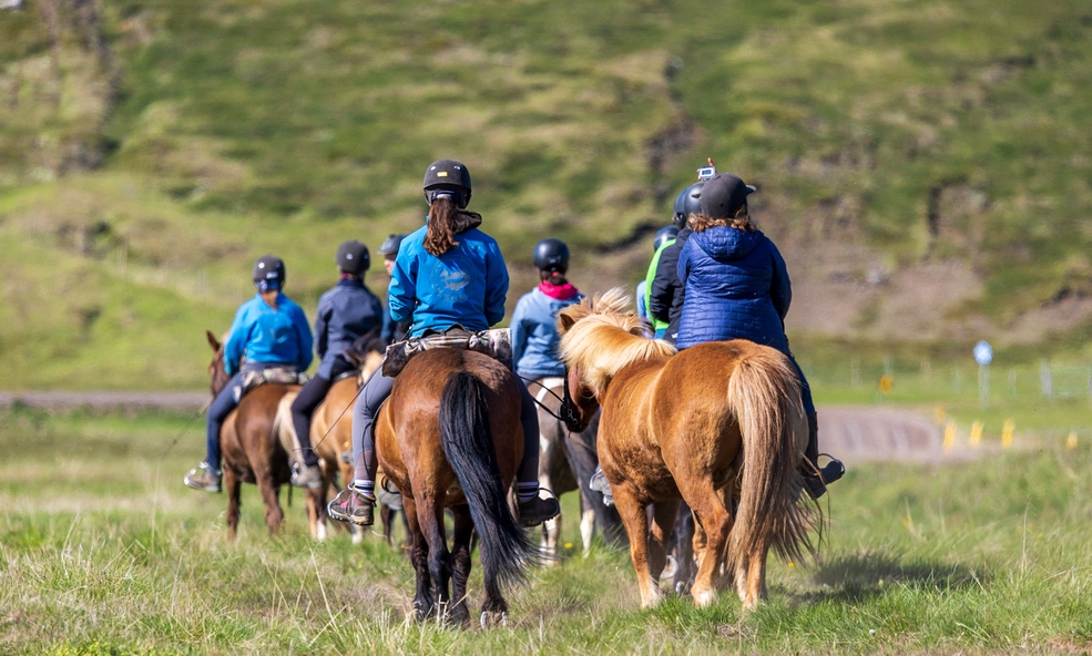 Horseback_RidingStefn_Ingvarsson_-_Visit_North_Iceland_slider_1733819652.jpg