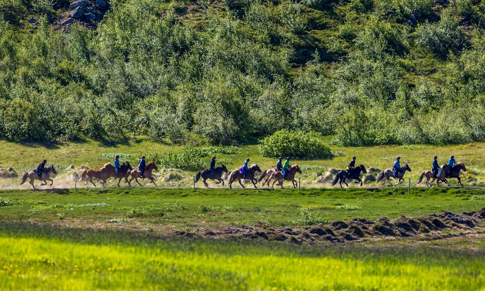 Horseback_Riding_2Stefn_Ingvarsson_-_Visit_North_Iceland_slider_1733986628.jpg