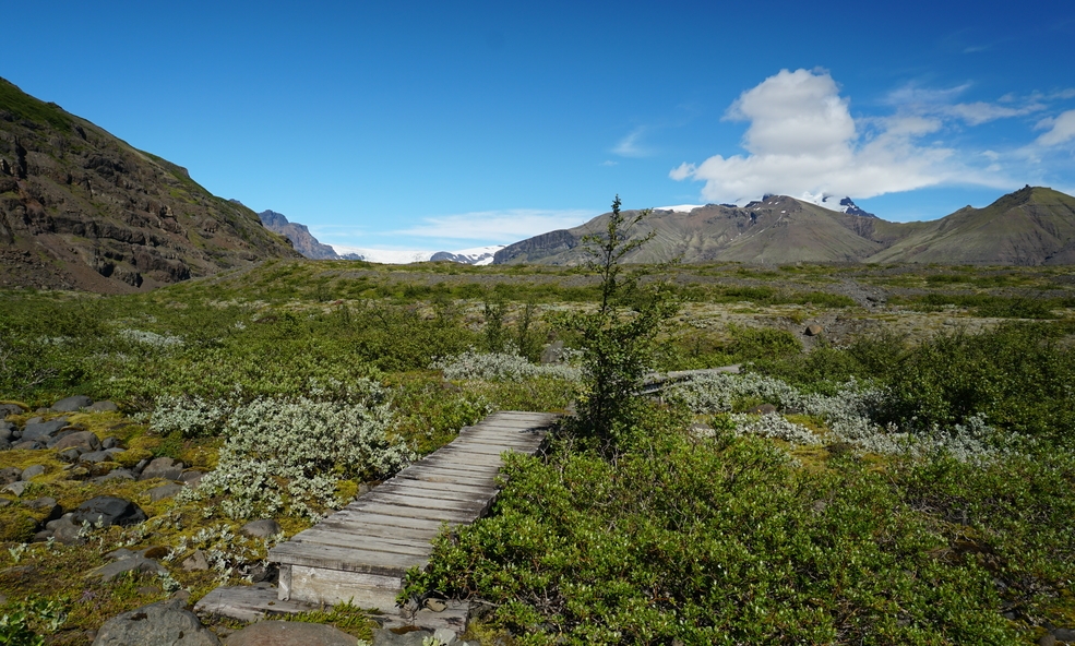 Skaftafell4_slider_1733388565.jpg
