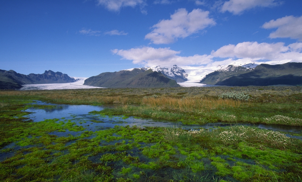 Skaftafell_Island_33_slider_1734434254.jpg
