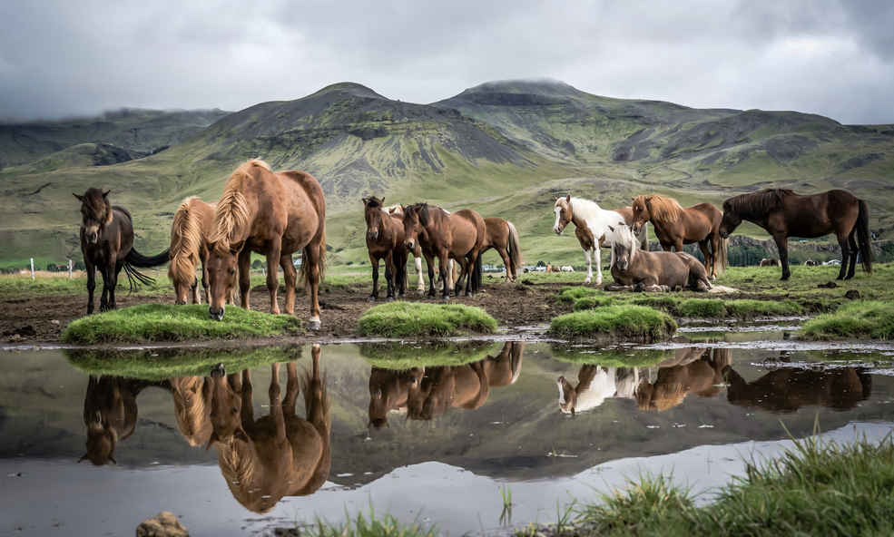 iStock-834847220_slider_1736763944.jpg